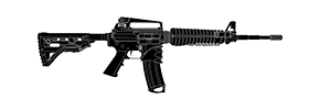 AR-15.50