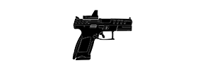 P-10C