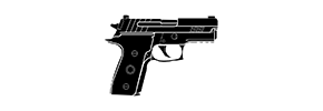 P229