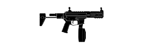 PDW9