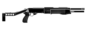 SPAS-12