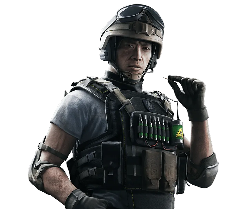 Lesion