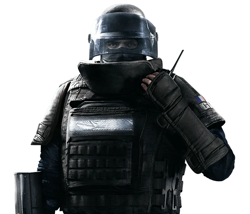 Rook